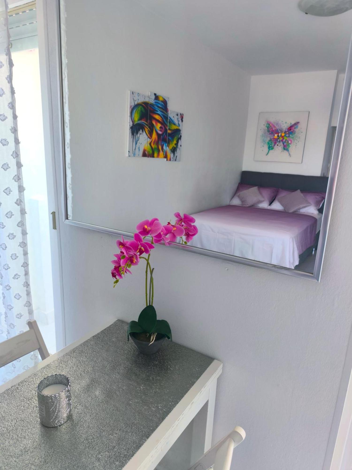 Cute Studio-great Location Zadar